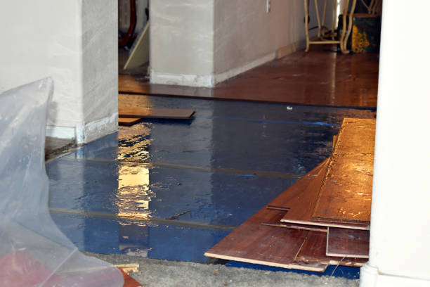 Professional Burst Pipe Water Damage technician working in Crowley, TX